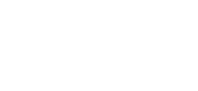 Pizza Maxs